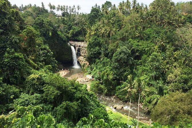 Bali Night Market Experience and Ubud Highlights tour - FAQ