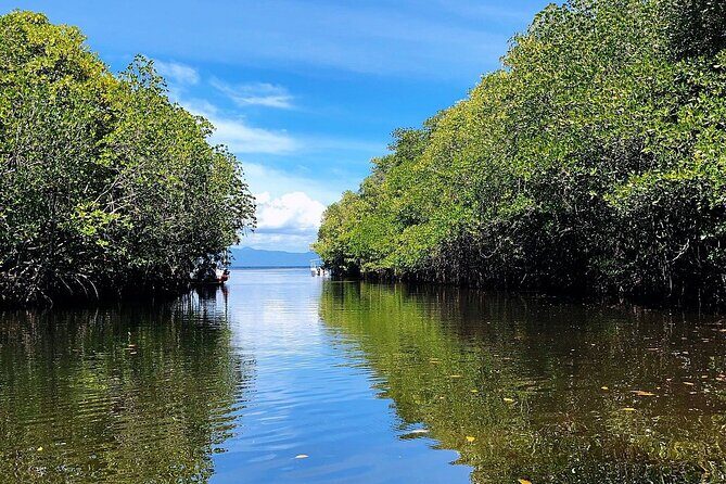 Bali Nusa Lembongan Islands Private Tour - All Inclusive - Why This Tour Works