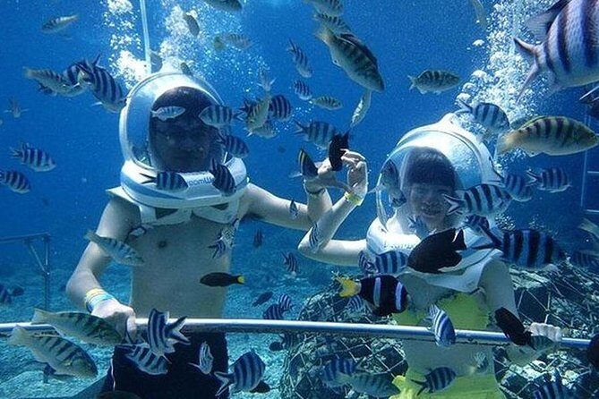 Bali Ocean Walker - What Is the Bali Ocean Walker?