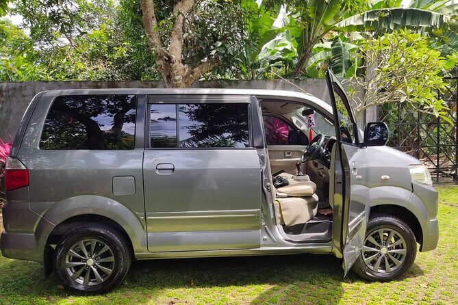 Bali Private Car Charter & Customize Tour With Driver English Speaking-Free WiFi - What Do Travelers Say?