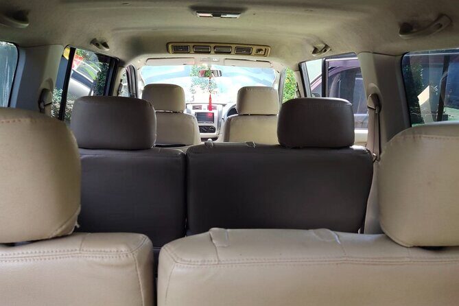 Bali Private Car Charter & Customize Tour With Driver English Speaking-Free WiFi - Final Thoughts