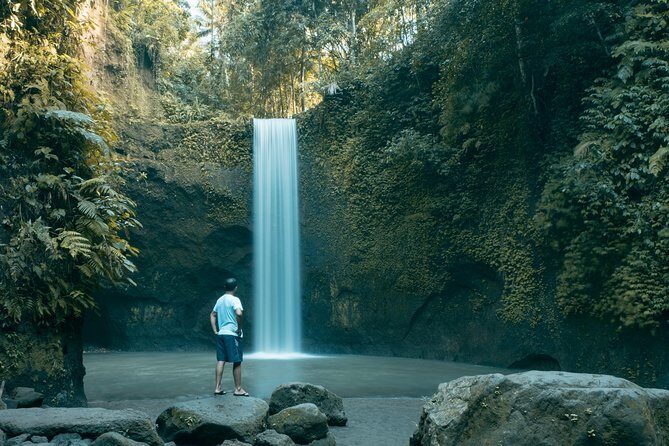 Bali Private Car Charter With English Speaking Driver - The Sum Up: Who Should Book This Experience?