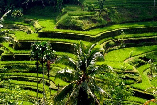 Bali Private Car Charter With English Speaking Driver - FAQ