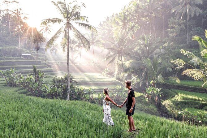 Bali Private Car Charter with English Speaking Driver Or Guide - Why Choose a Private Bali Car Tour?