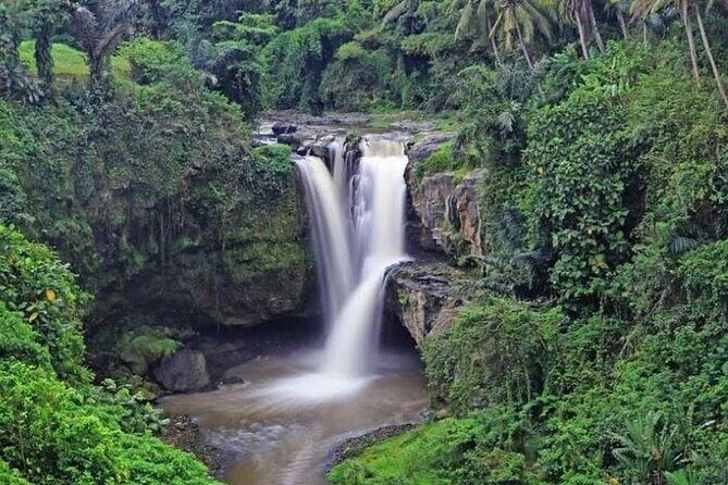 Bali Private Car Charter with English Speaking Driver Or Guide - Transportation & Comfort