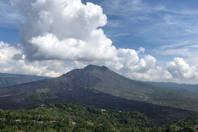 Bali Private Car Charter With English Speaking Driver To Ubud Area - Detailed Breakdown of the Itinerary