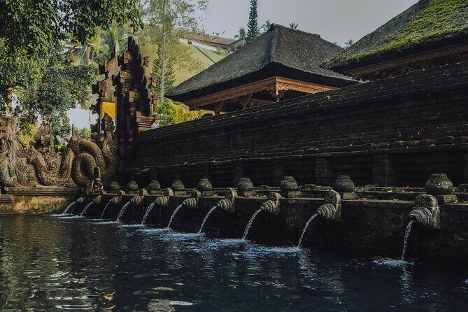 Bali Private Car Full Day Customized Tour With Drone Service - The Experience: What to Expect