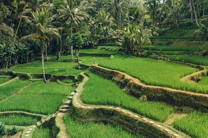 Bali Private Car Full Day Customized Tour With Drone Service - Authentic and Highly Praised Aspects