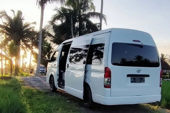 Bali Private Car Service with English Speaking Driver - The Sum Up: Is This Tour Right for You?