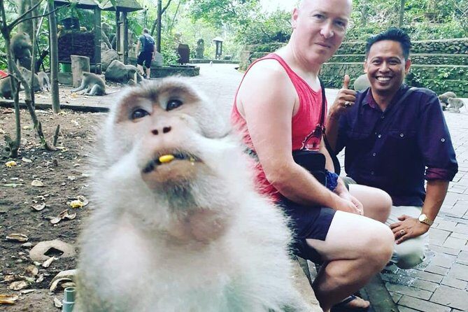 Bali Private Custom Tour - Bali Car Hire with Driver - The Itinerary and What to Expect