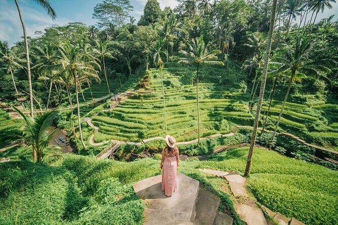 Bali Private Driver - Bali customized private tour - The Sum Up