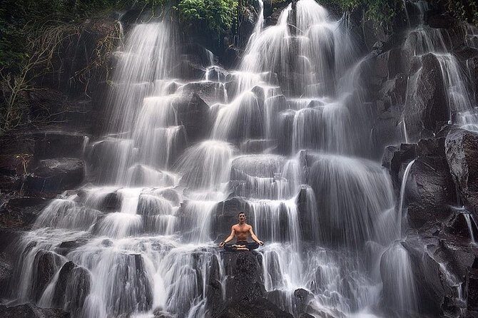 Bali Private Full Day Tour to Visit the Best Waterfalls and Swing near Ubud - The Sum Up: Who Will Love This Tour?