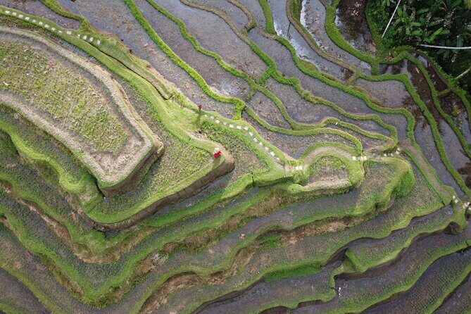 Bali Private Photographer & Drone - The Value of a Professional Photoshoot in Bali