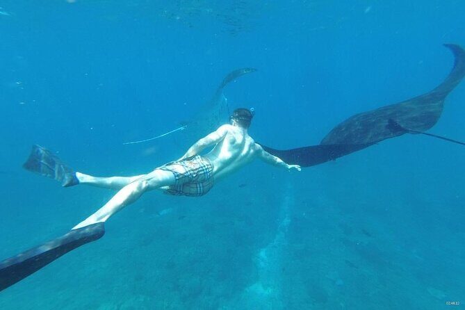 Bali Private Snorkeling (Manta, Gamat, Wall) and Nusa Penida Tour - An In-Depth Look at the Tour