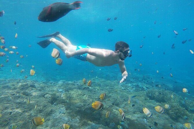 Bali Private Snorkeling (Manta, Gamat, Wall) and Nusa Penida Tour - FAQ