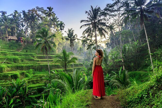 Bali Private Tour - Best of Ubud - All Inclusive - The Itinerary: What to Expect and Why It Matters