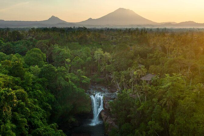 Bali Private Tour - Best of Ubud - All Inclusive - FAQ: Your Questions Answered