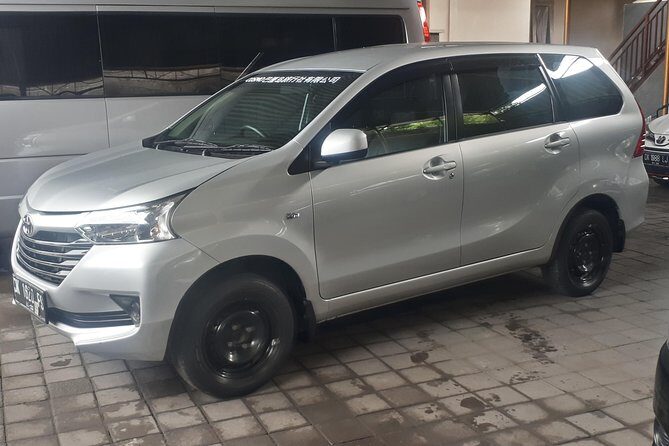 Bali Private Tour - Car with Driver - Practical Details and Tips for Travelers