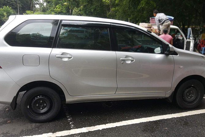 Bali Private Tour - Car with Driver - The Sum Up: Who Will Love This Service?