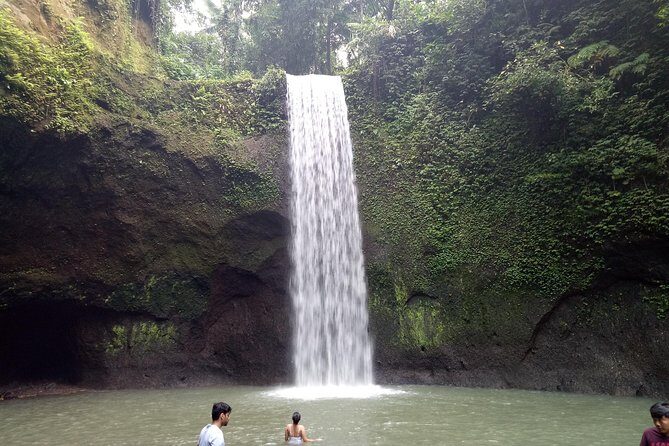 Bali Private Tour Guide And Driver - Itinerary Breakdown: What to Expect