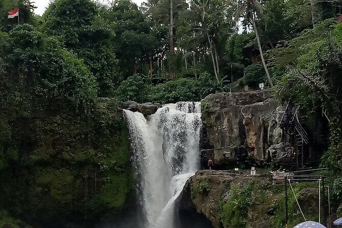 Bali Private Tour Guide And Driver - What Could Be a Drawback?