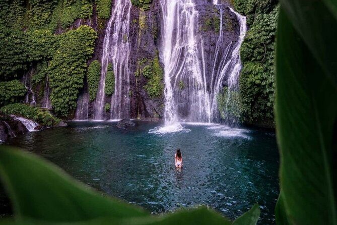 Bali Private Tour: Handara Iconic Gate, Watefall and Temple - Key Points