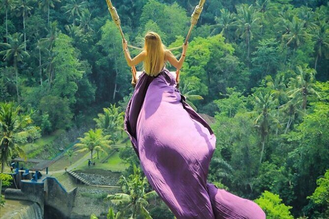 Bali Private Tour: Lempuyang Gate of heaven-Tirta gangga-Tukad Cepung - The Experience: Pros and Cons