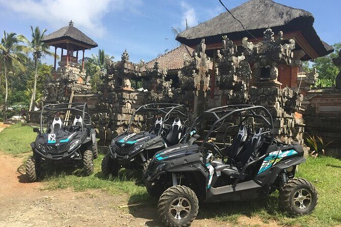 Bali Quad and Buggy Explorer Tour - Pricing & Value