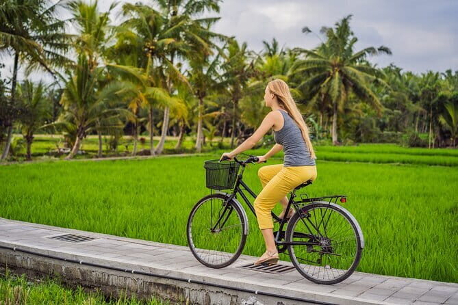 Bali Quad Bike with Cave and waterfall Experience - Who Should Avoid This Tour?