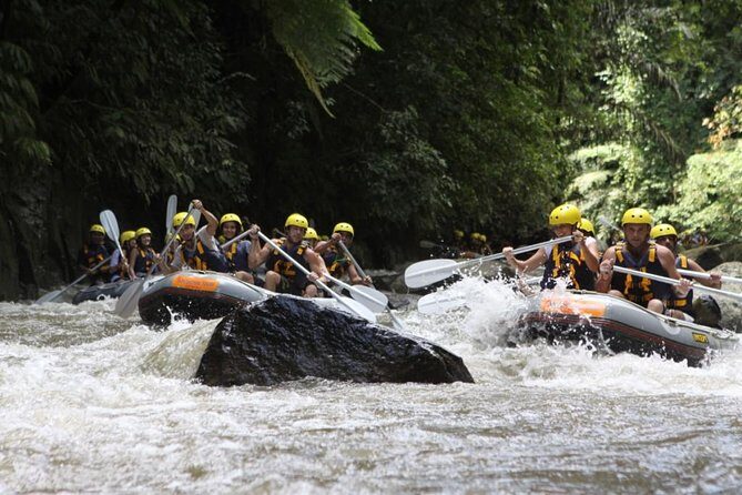 Bali Rafting Ubud with Lunch - A Deep Dive into the Bali Rafting Ubud Experience