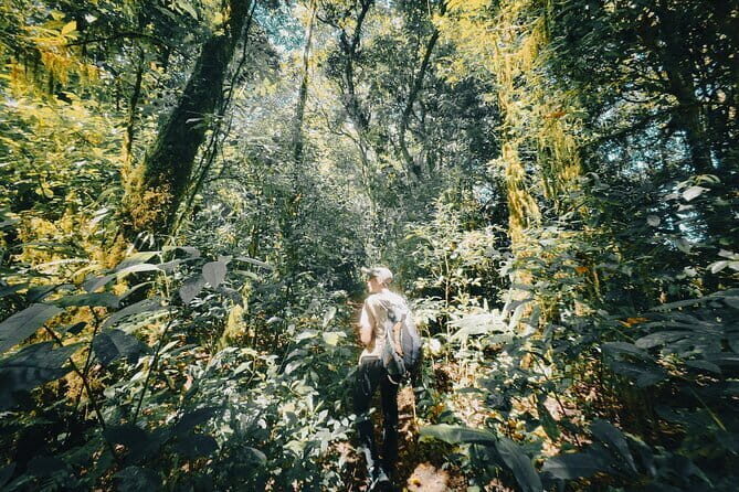 Bali Rainforest Hiking With Canoeing And Waterfall Adventure - A Complete Overview of the Experience