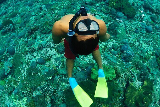 Bali Reef Cruise and Lembongan Island Day Trip - What the Tour Offers: An In-Depth Look