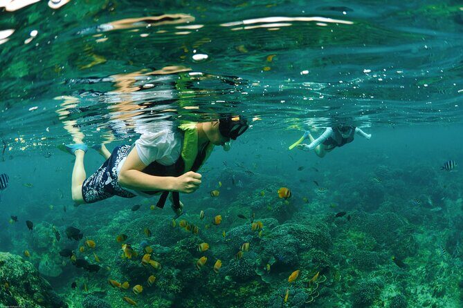 Bali Reef Cruise and Lembongan Island Day Trip - FAQs