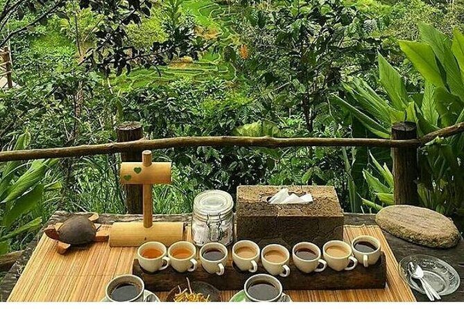 Bali romantic floating breakfast - jungle swing - monkey forest - Ubud art shop. - Who Is This Tour Best For?