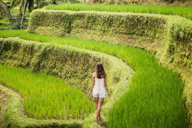 Bali Rural Village Bike - Scenic Rice Fields and Village Life