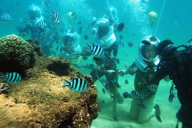Bali Sea Walker - The Ideal Audience for This Tour