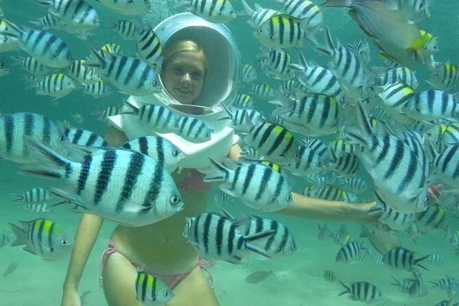 Bali Sea Walking Experience - The Experience in Detail