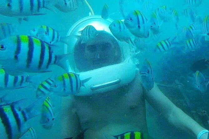 Bali Sea Walking Experience - Who Will Love This Tour?