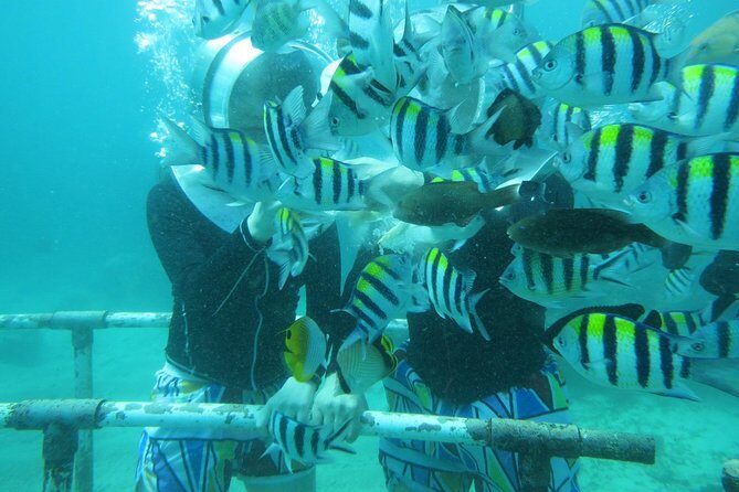 Bali Sea Walking Experience - Final Thoughts
