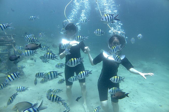 Bali Seawalker - Introduction to the Bali Seawalker