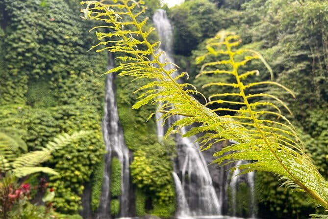 Bali Secret Waterfalls: Banyumala & Leke Leke Waterfalls - Key Points