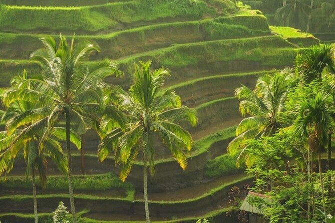 Bali Sightseeing - Final Thoughts: Is This Tour for You?
