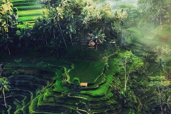 Bali Sightseeing - Final Word