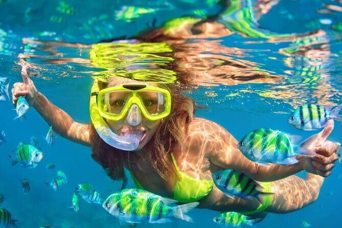 Bali Snorkeling 2 Spots & ATV Quad Bike with Lunch & Transfer - What This Tour Offers: A Closer Look