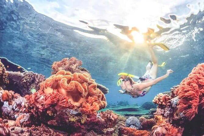 Bali Snorkeling at Blue Lagoon and Tanjung Jepun - Key Points