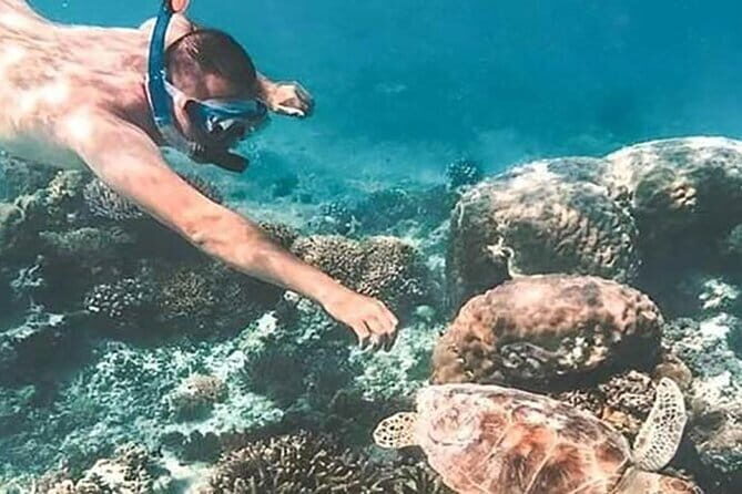 Bali Snorkeling at Blue Lagoon and Tanjung Jepun - What Makes This Snorkeling Tour Stand Out?