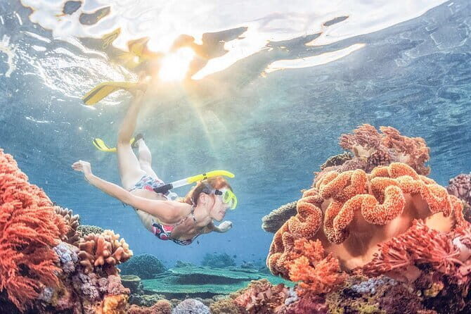 Bali Snorkeling at Blue Lagoon and Tanjung Jepun - Practical Details and Considerations