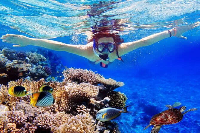 Bali Snorkeling at Blue Lagoon and Tanjung Jepun - FAQ