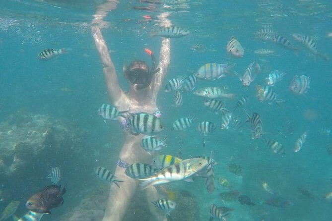 Bali Snorkeling at Blue Lagoon include private transport - Value for Money