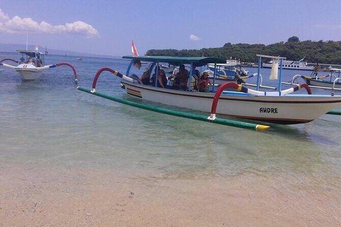 Bali Snorkeling Blue Lagoon 2 spot with Lunch & Transport - An In-Depth Look at the Blue Lagoon Snorkeling Tour